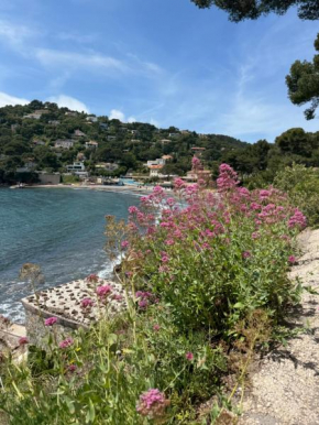 Chemin du Bord de mer